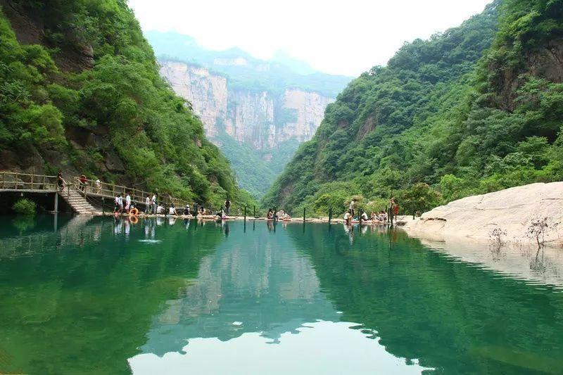 救援受困的火鸡